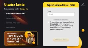 Wprowadź adres e-mail